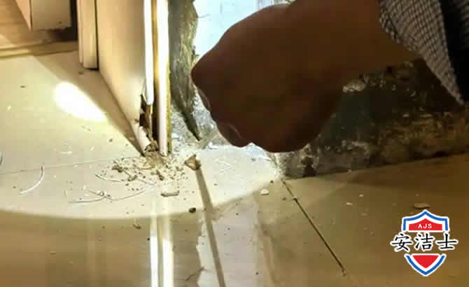 吉阳区房屋建筑防治白蚁