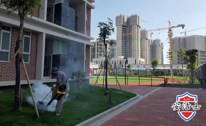 吉阳区工厂工地除白蚁