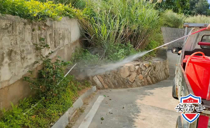 吉阳区道路堤坝白蚁防治