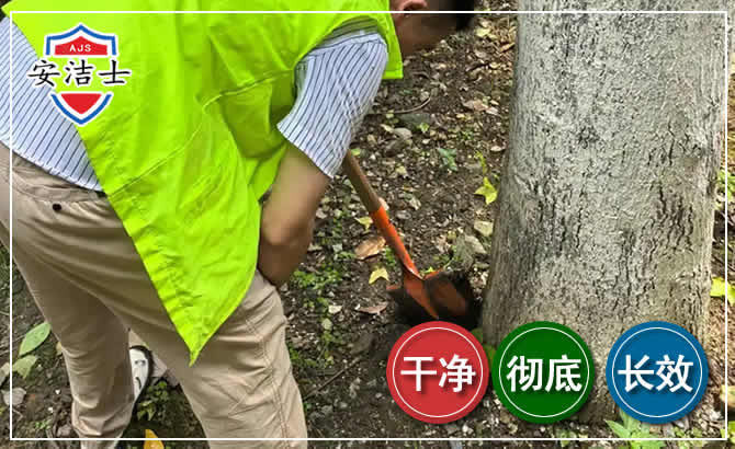 吉阳区长效除白蚁