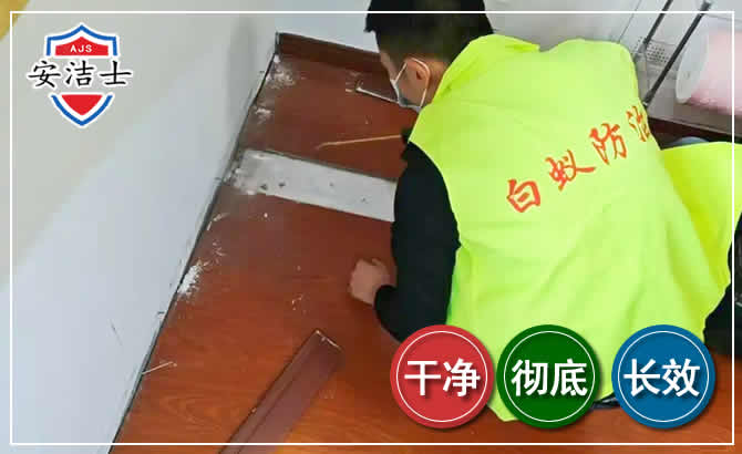 吉阳区除四害现场