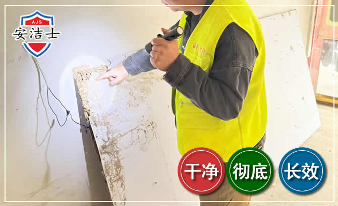 吉阳区除白蚁现场