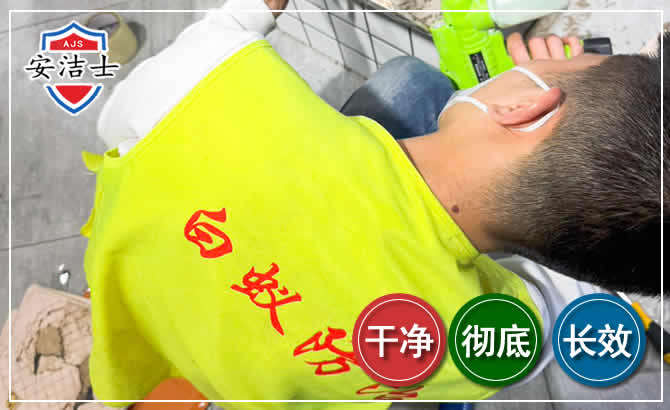 吉阳区白蚁根治现场